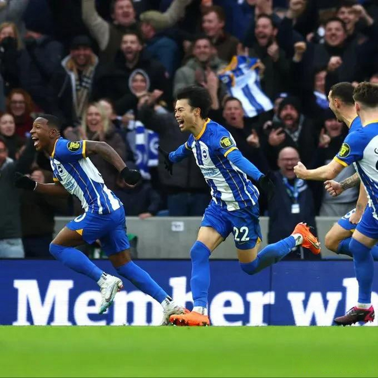 C7娱乐官方网站-布莱顿和谢菲联