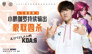 C7娱乐-挑战王者：绝杀获胜瞬间照耀球场的简单介绍